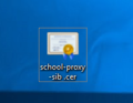 Sert01.png